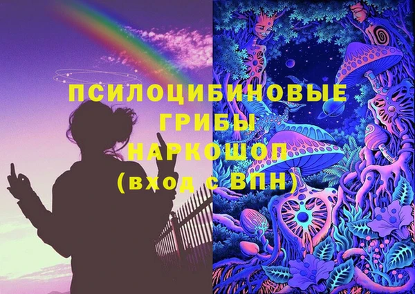 дживик Аркадак