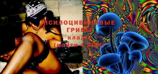 дживик Аркадак