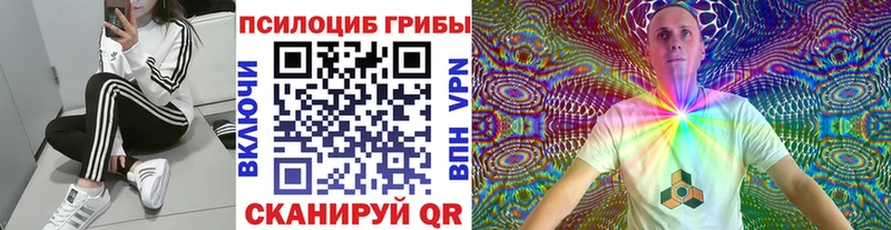 Псилоцибиновые грибы Magic Shrooms  Ярцево 