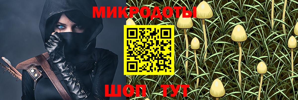 Галлюциногенные грибы Psilocybine cubensis Ярцево