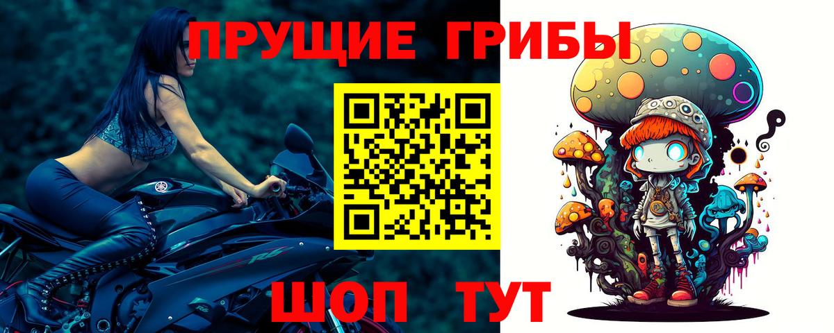 Ярцево  Галлюциногенные грибы прущие грибы  Вход с VPN 